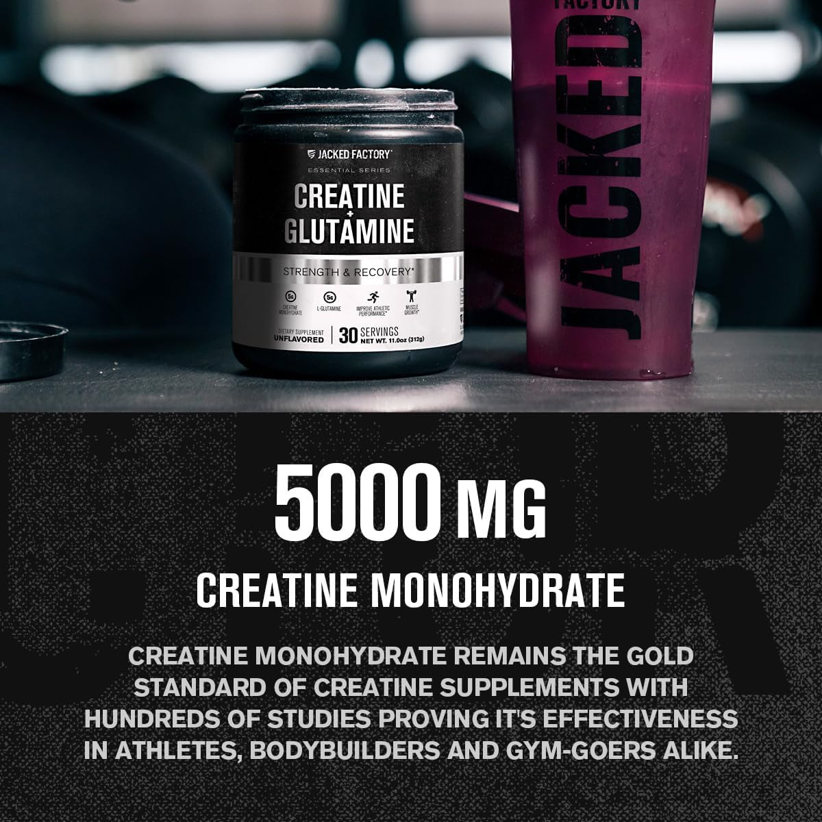 Creatine + Glutamine - Canadian-Owned Supplement with L-Glutamine for Muscle Recovery & Growth, Increased Strength, Enhanced Energy Output, and Gut Health - 30 Servings
