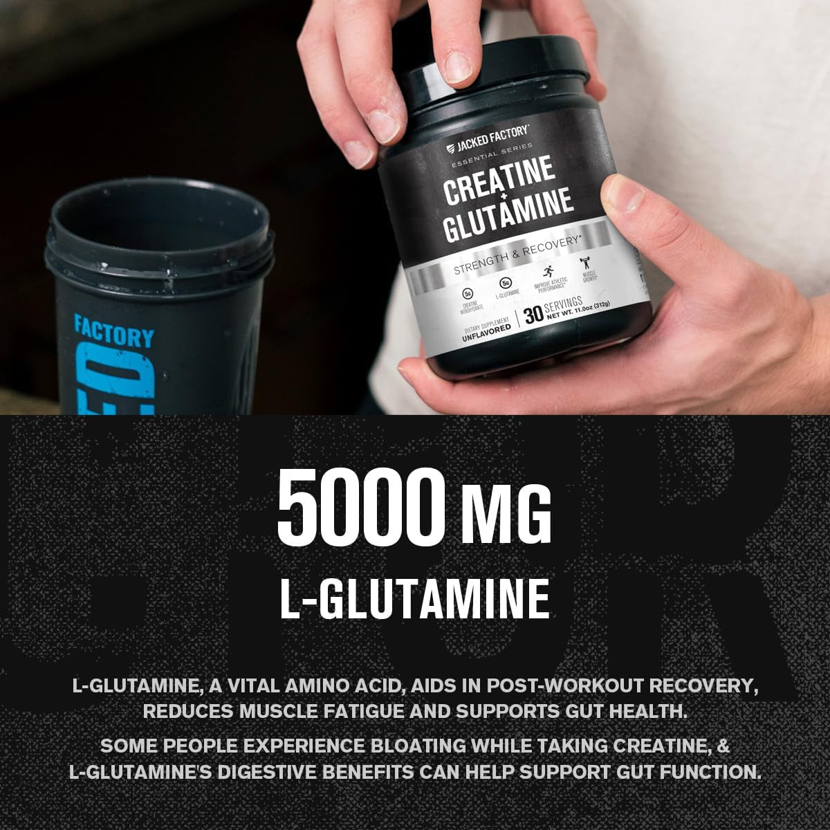 Creatine + Glutamine - Canadian-Owned Supplement with L-Glutamine for Muscle Recovery & Growth, Increased Strength, Enhanced Energy Output, and Gut Health - 30 Servings