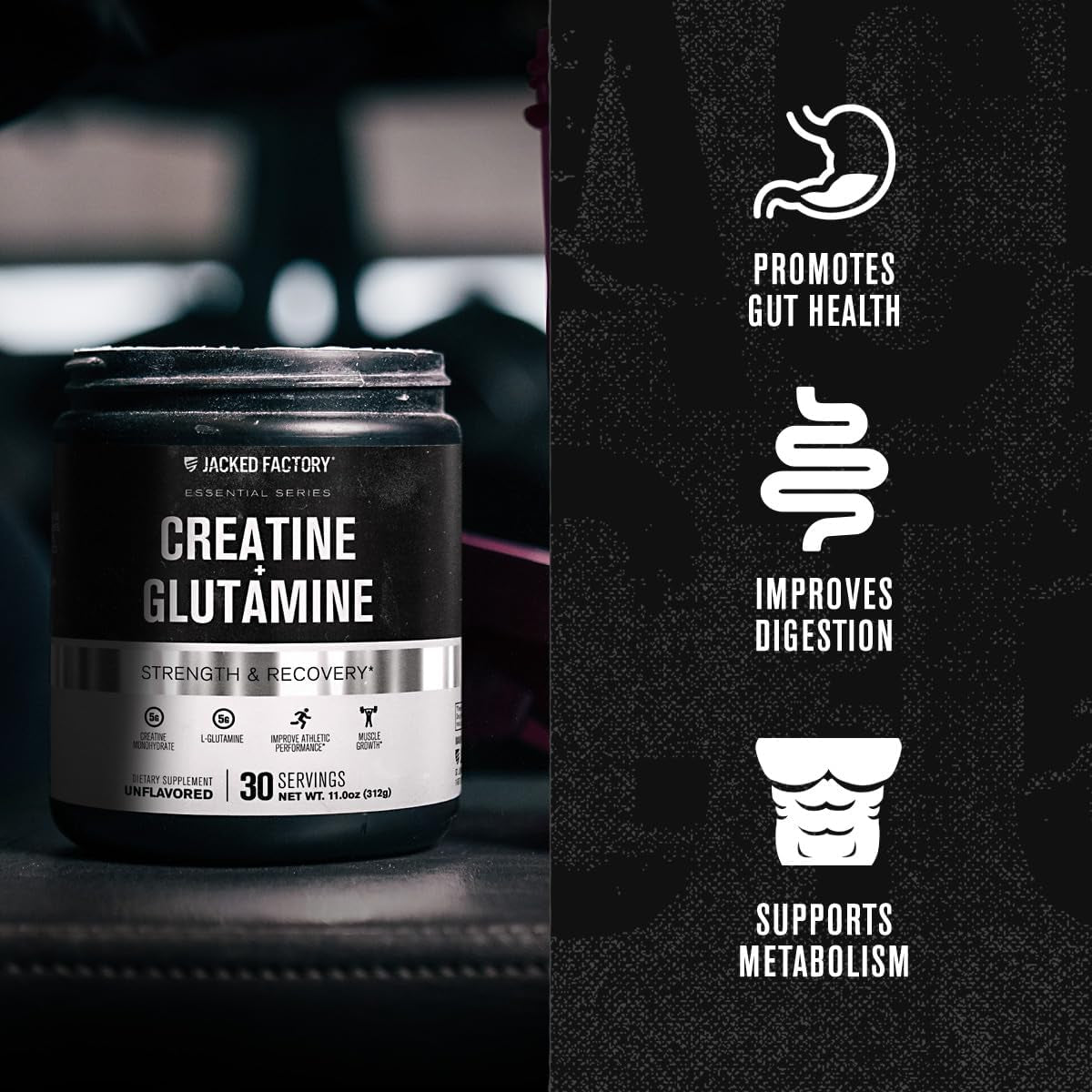 Creatine + Glutamine - Canadian-Owned Supplement with L-Glutamine for Muscle Recovery & Growth, Increased Strength, Enhanced Energy Output, and Gut Health - 30 Servings